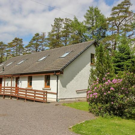 Hostel Тайндрам Экстерьер фото